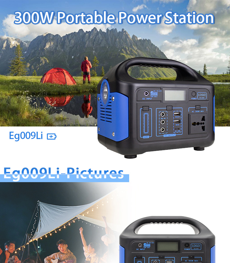 300W Power station